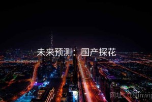未来预测：国产探花