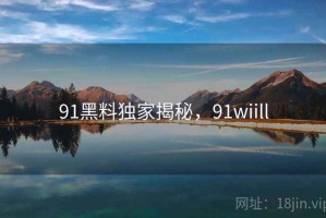 91黑料独家揭秘，91wiill