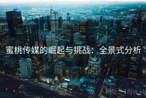 蜜桃传媒的崛起与挑战：全景式分析