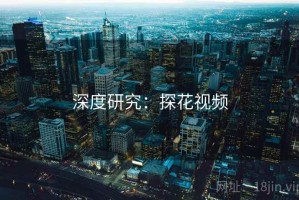 深度研究：探花视频