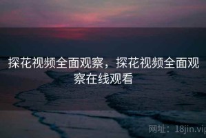 探花视频全面观察，探花视频全面观察在线观看