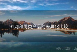 91网和同类产品的差异化比较