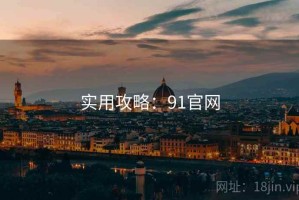 实用攻略：91官网