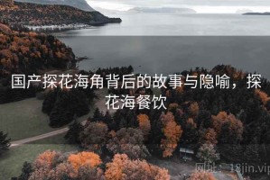 国产探花海角背后的故事与隐喻，探花海餐饮