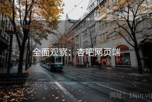 全面观察：杏吧网页端