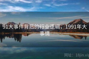 91大事件背后的行业逻辑，1991年大事情