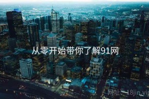 从零开始带你了解91网