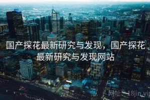 国产探花最新研究与发现，国产探花最新研究与发现网站