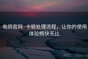 电鸽官网·卡顿处理流程，让你的使用体验畅快无比