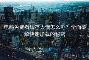 电鸽免费看缓存太慢怎么办？全面破解快速加载的秘密