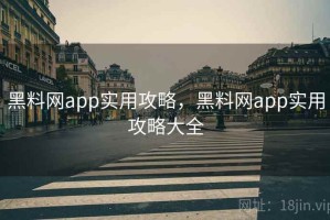 黑料网app实用攻略，黑料网app实用攻略大全