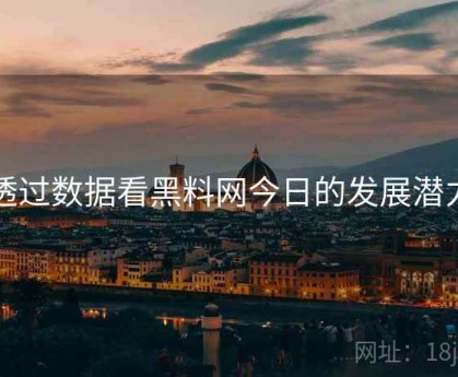 透过数据看黑料网今日的发展潜力