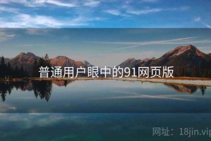 普通用户眼中的91网页版