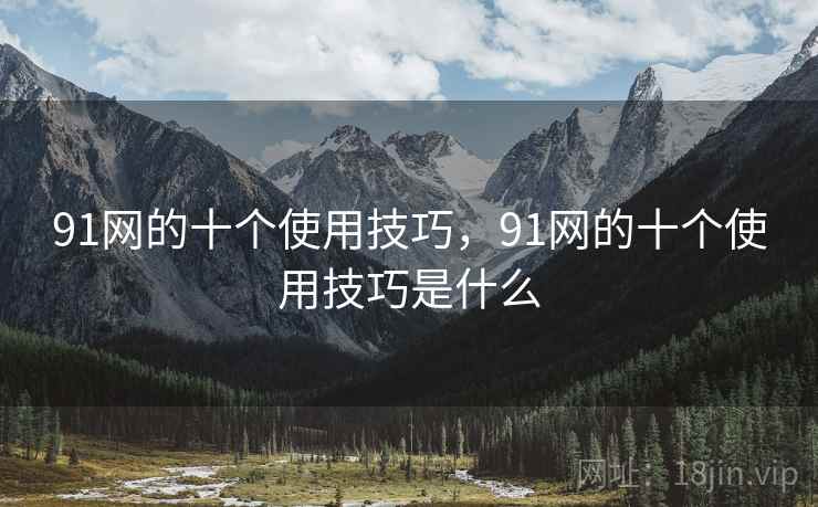 91网的十个使用技巧，91网的十个使用技巧是什么
