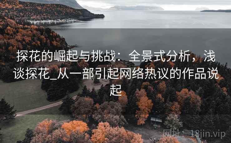 探花的崛起与挑战:全景式分析,浅谈探花_从一部引起网络热议的作品说起 探花的崛起与挑战:全景式分析,浅谈探花_从一部引起网络热议的作品说起
