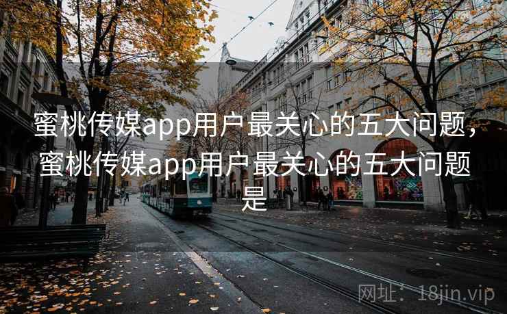 蜜桃传媒app用户最关心的五大问题，蜜桃传媒app用户最关心的五大问题是