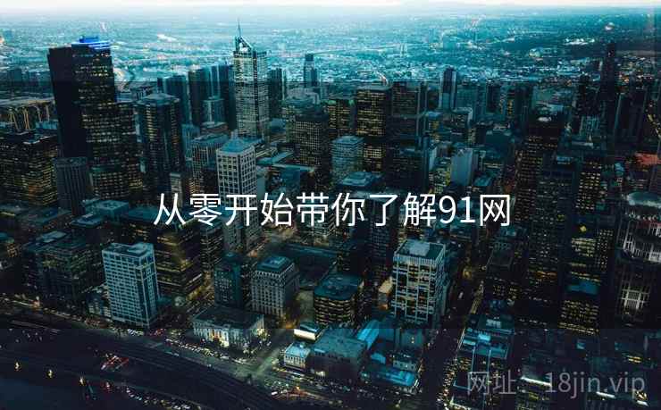 从零开始带你了解91网