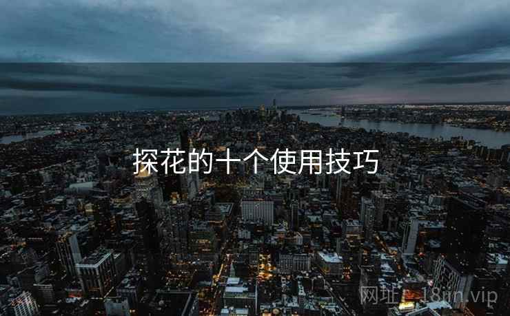探花的十个使用技巧