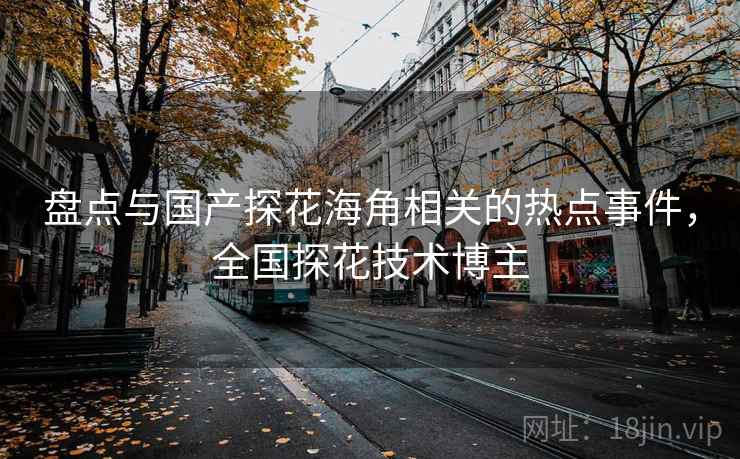 盘点与国产探花海角相关的热点事件，全国探花技术博主